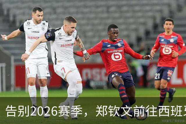 告别2026赛季，郑钦文前往西班牙集训为新赛季蓄力